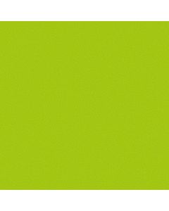 HPL Schichtstoffplatten Trespa® Meteon® | UNICOLOURS | Lime Green A37.0.8