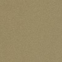 Trespa Meteon Amber M06.4.1