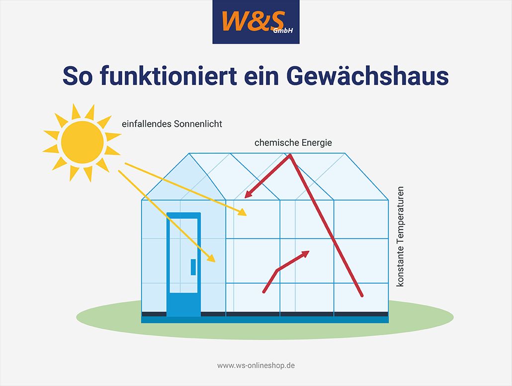 so funktioniert ein Gewächshaus