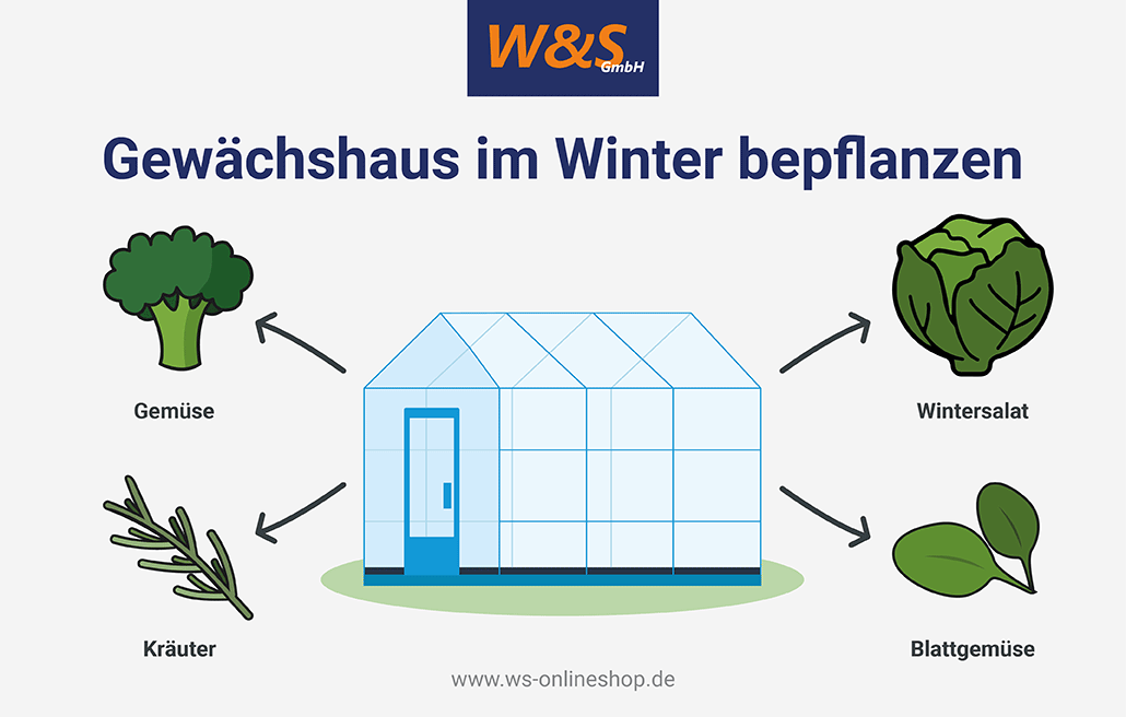 Gewächshaus im Winter bepflanzen