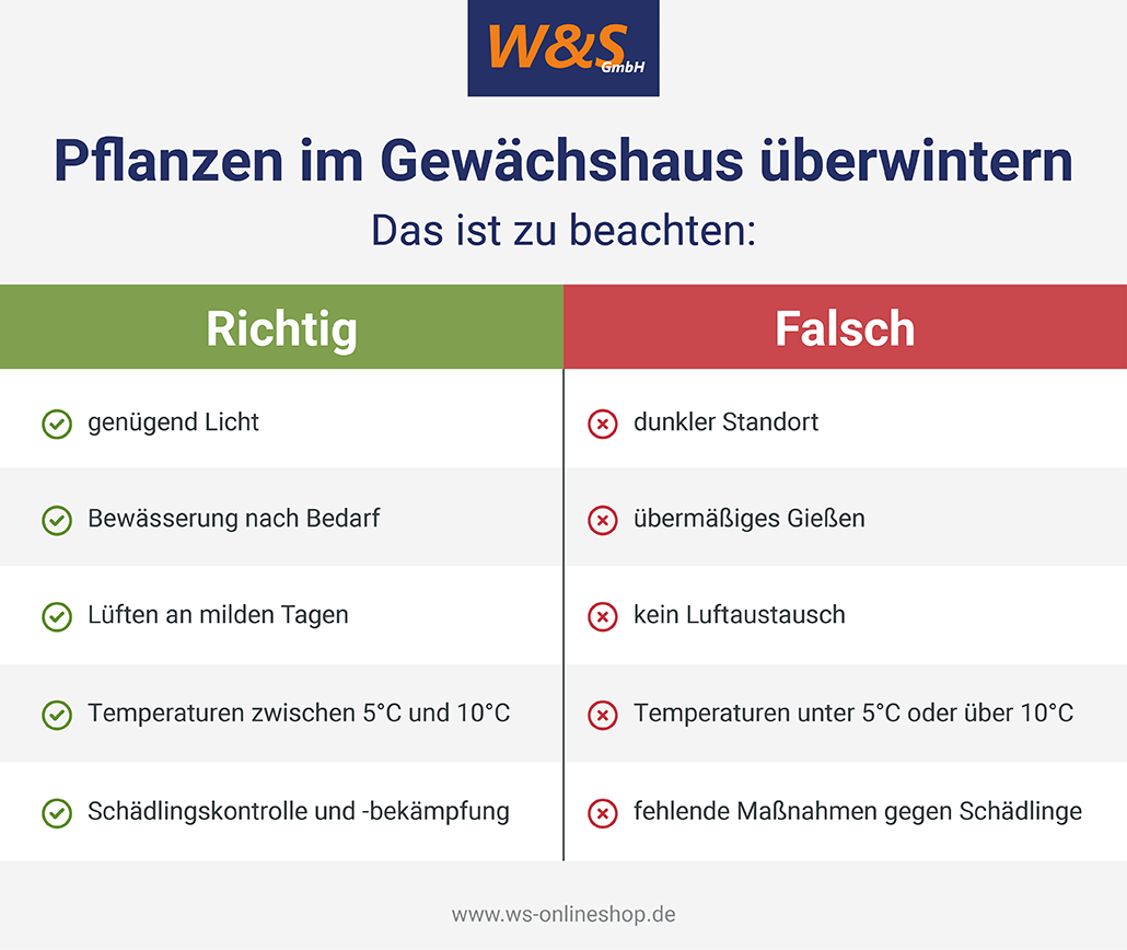 Pflanzen im Gewächshaus überwintern