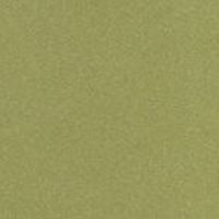 Trespa Meteon Mustard Yellow M40.4.3 Trespa Meteon Mustard Yellow M40.4.3